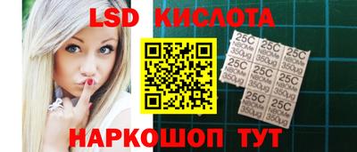 дмт Славгород