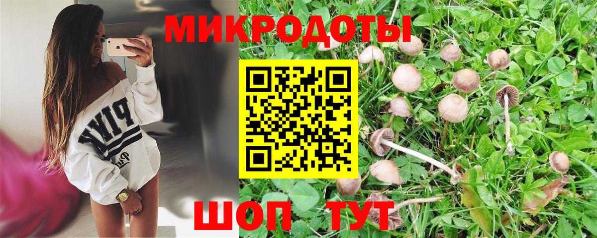 Псилоцибиновые грибы GOLDEN TEACHER Орехово-Зуево